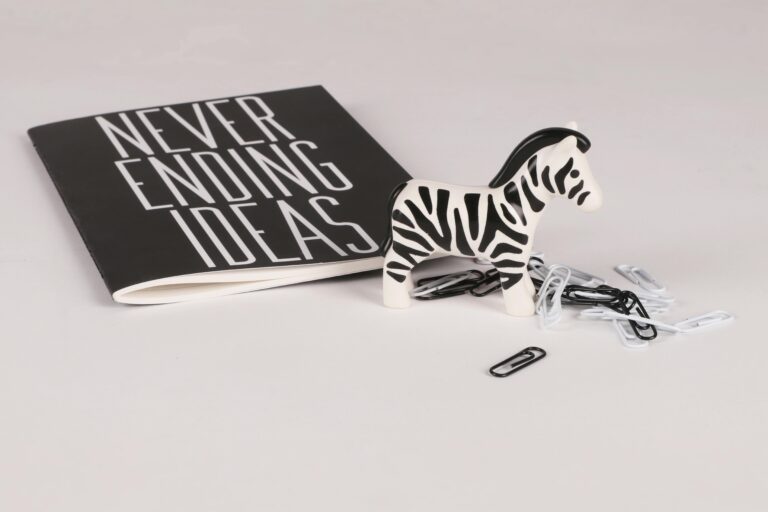 A creative desk setup featuring a zebra toy, notebook, and paper clips for inspiration and design.best quality T-shirts for printing
